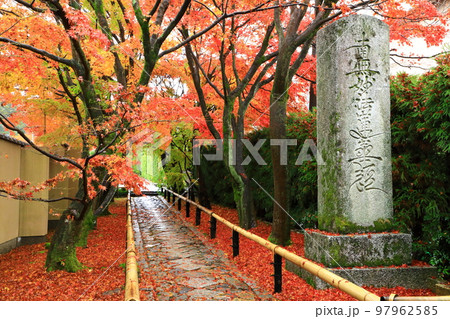京都 光悦寺の紅葉 京都 光悦寺の紅葉 97962585