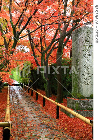 京都 光悦寺の紅葉 京都 光悦寺の紅葉 97962586
