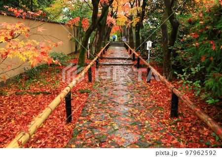 京都　光悦寺の紅葉 97962592