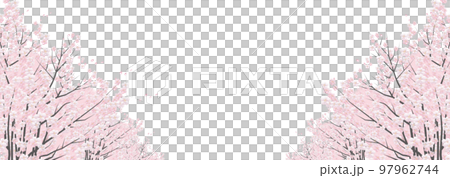 桜の花 花びら飛　白バック背景素材 97962744