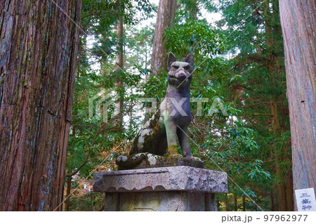 三峯神社　神社　秩父三社　オオカミ　犬神　狛犬 97962977