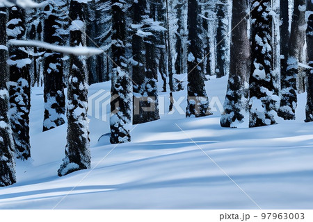雪の中の森 97963003