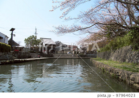 桜が咲く春の八幡堀／滋賀県近江八幡市 97964023