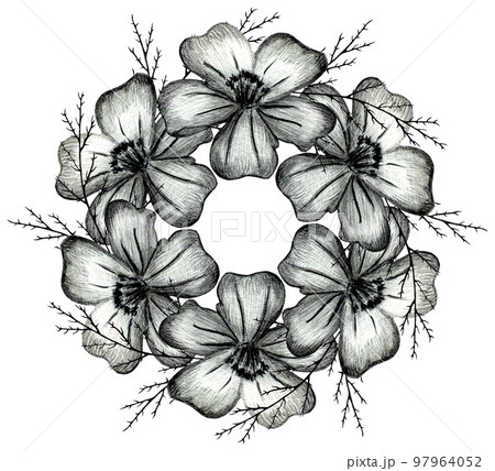 Black and White Hand Drawn Marigold Flower Round Composition Isolated on White Background. Marigold Flower Composition Drawn by Black Pencil. 97964052