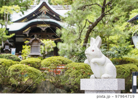 京都岡崎神社　うさぎ神社　東天王岡崎神社　京都観光スポット 97964719
