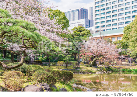 （東京）春の日比谷公園 97964760