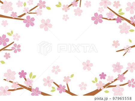 桜のフレーム 桜のフレーム 97965558