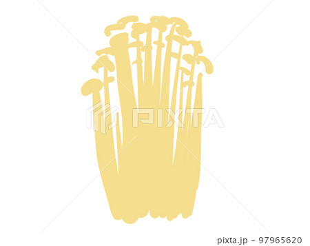 かわいいキノコのエノキ／手描きイラスト素材 97965620