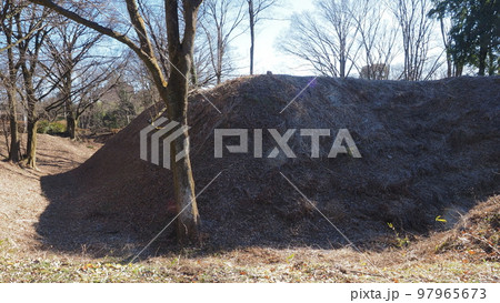 菅谷館　本郭 97965673