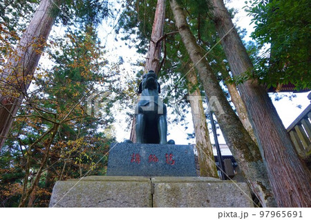 三峯神社 神社 秩父三社 オオカミ 犬神 狛犬 三峯神社 神社 秩父三社 オオカミ 犬神 狛犬 97965691