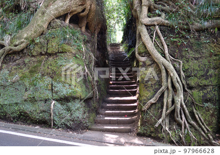 泉津の切り通し 97966628