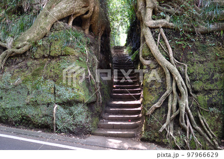 泉津の切り通し 97966629