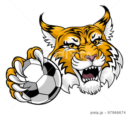 Wildcat Bobcat Soccer Football Animal Team Mascot Wildcat Bobcat Soccer Football Animal Team Mascot 97966674