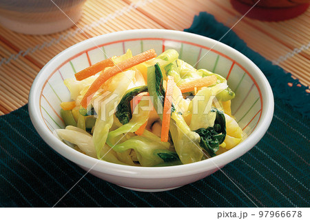 創作料理葉物浅漬け 97966678