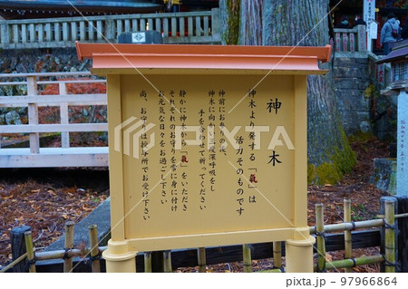 三峯神社 神社 秩父三社 神木 気 大杉 御神木 三峯神社 神社 秩父三社 神木 気 大杉 御神木 97966864