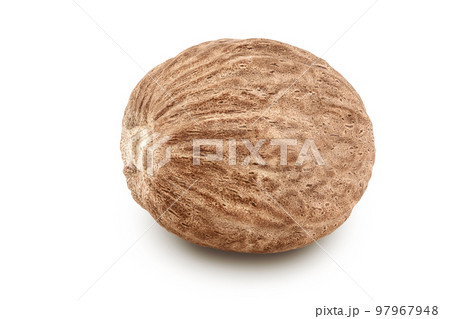 nutmeg isolated on white background with full depth of field nutmeg isolated on white background with full depth of field 97967948