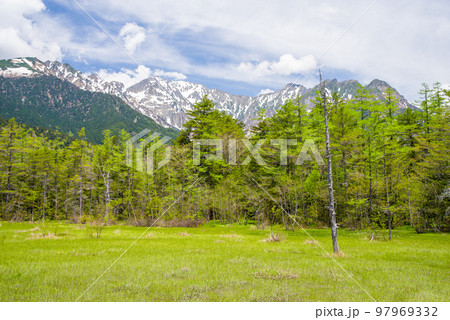 新緑の上高地【田代湿原から見た穂高連峰】 97969332