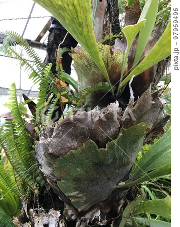 アロハガーデン館山 アロハガーデン館山 97969496