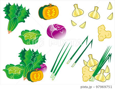 葉物やくみ野菜のセット 葉物やくみ野菜のセット 97969751