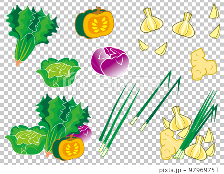 葉物やくみ野菜のセット 葉物やくみ野菜のセット 97969751