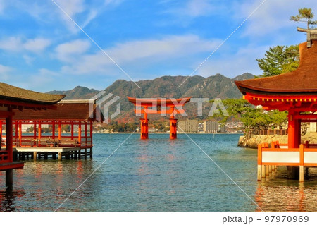 【広島県】改修工事終了後の日本三景安芸の宮島の大鳥居 97970969