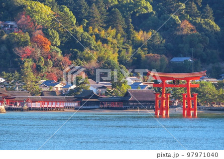 【広島県】改修工事終了後の日本三景安芸の宮島の大鳥居 97971040