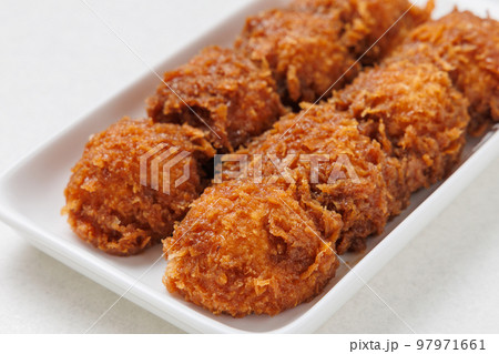 ポテトフライ 97971661