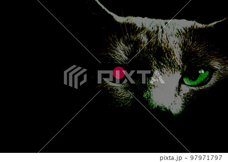 猫のロボット 動物のサイボーグイメージ ロシアンブルー 猫のロボット 動物のサイボーグイメージ ロシアンブルー 97971797