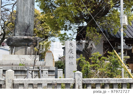 春の曽根天疫神社 春の曽根天疫神社 97972727
