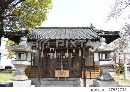 春の曽根天疫神社 97972736