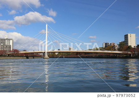 大川にかかる「川崎橋」 大川にかかる「川崎橋」 97973052