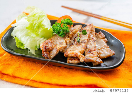 豚肉の塩麹漬け 97973135