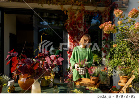 Woman at backyard in autumn 97973795