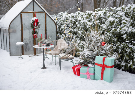 Beautifully decorated backyard for winter holidays 97974368