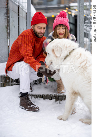 Young couple with dog on a porch of their house on winter 97974369