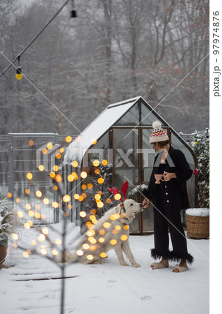 Woman plays with her dog on snowy backyard Woman plays with her dog on snowy backyard 97974876