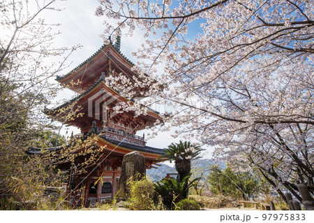 潮音山向上寺 生口島 広島尾道観光スポット 桜と三重塔 瀬戸内海国立公園 潮音山向上寺 生口島 広島尾道観光スポット 桜と三重塔 瀬戸内海国立公園 97975833