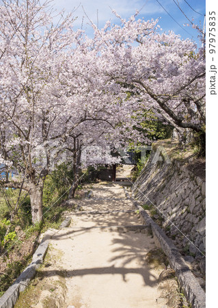 潮音山向上寺　生口島　広島観光スポット　瀬戸内海国立公園 97975835
