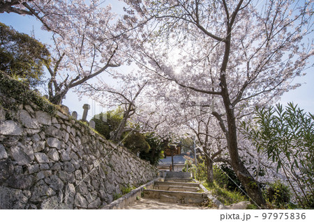 潮音山向上寺　生口島　広島観光スポット　瀬戸内海国立公園 97975836