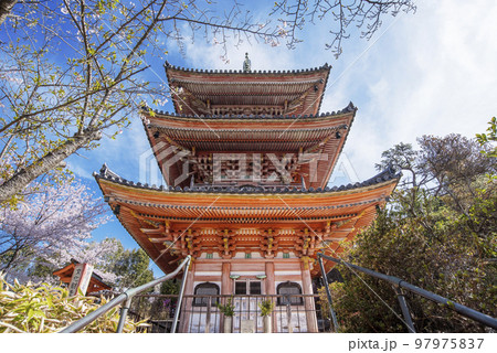潮音山向上寺　生口島　三重塔と桜　広島尾道観光スポット　瀬戸内海国立公園 97975837