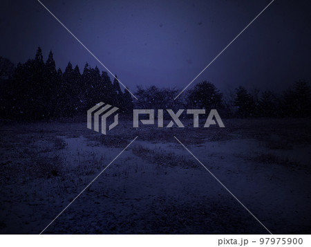 雪の降る薄暗い雪原 雪の降る薄暗い雪原 97975900