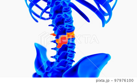Human skeleton anatomy for medical concept 3D illustration with blue and orange color combination Human skeleton anatomy for medical concept 3D illustration with blue and orange color combination 97976100
