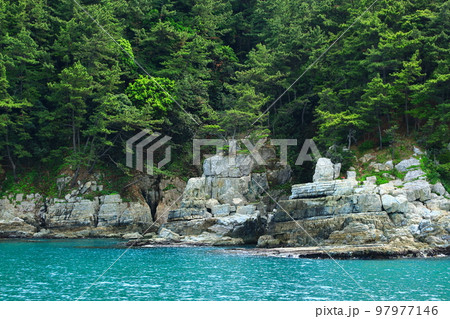 島 海金剛 金剛 97977146