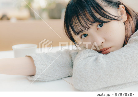 カフェで勉強をする若い女子大生の写真 カフェで勉強をする若い女子大生の写真 97978887
