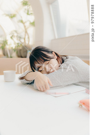 カフェで勉強をする若い女子大生の写真 カフェで勉強をする若い女子大生の写真 97978888