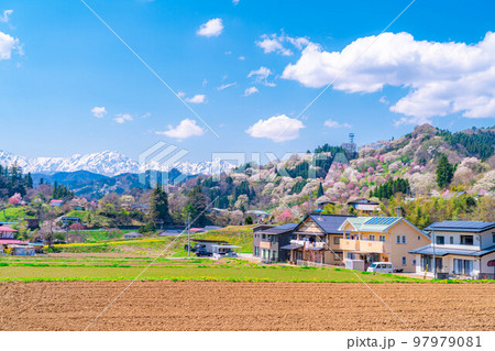 【春素材】里山の春・二反田の桜【長野県】 97979081