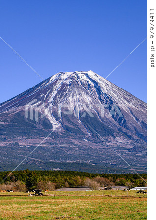 冬の朝霧高原と富士山の絶景 冬の朝霧高原と富士山の絶景 97979411