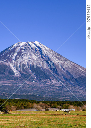 冬の朝霧高原と富士山の絶景 冬の朝霧高原と富士山の絶景 97979412