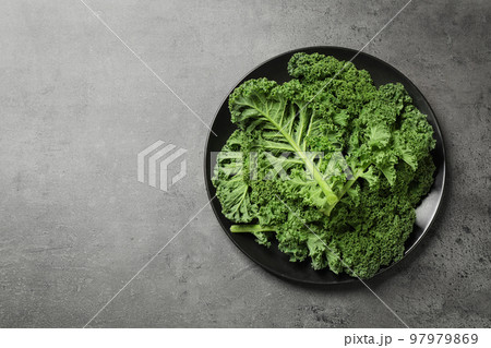 Fresh kale leaves on grey table, top view. Space for text Fresh kale leaves on grey table, top view. Space for text 97979869