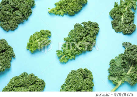 Fresh kale leaves on light blue background, flat lay 97979878